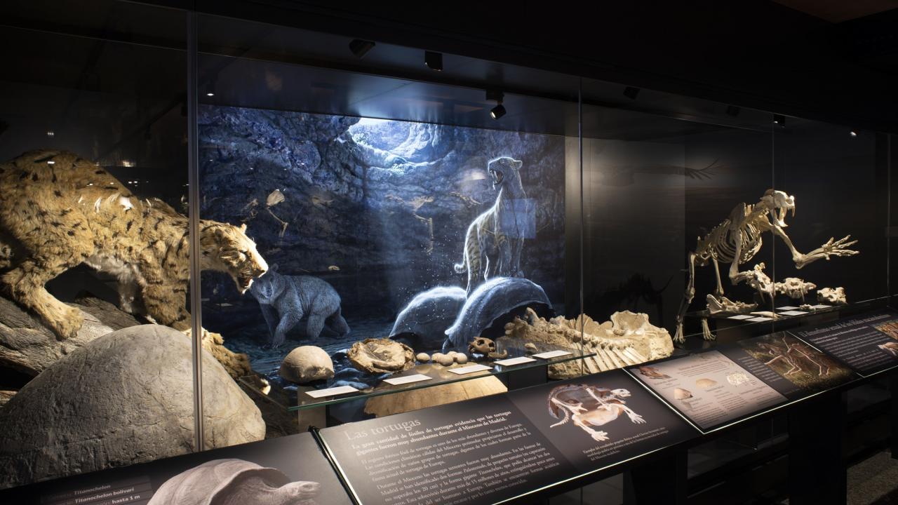Museos de Historia y Arqueología en Madrid | VisitMadrid