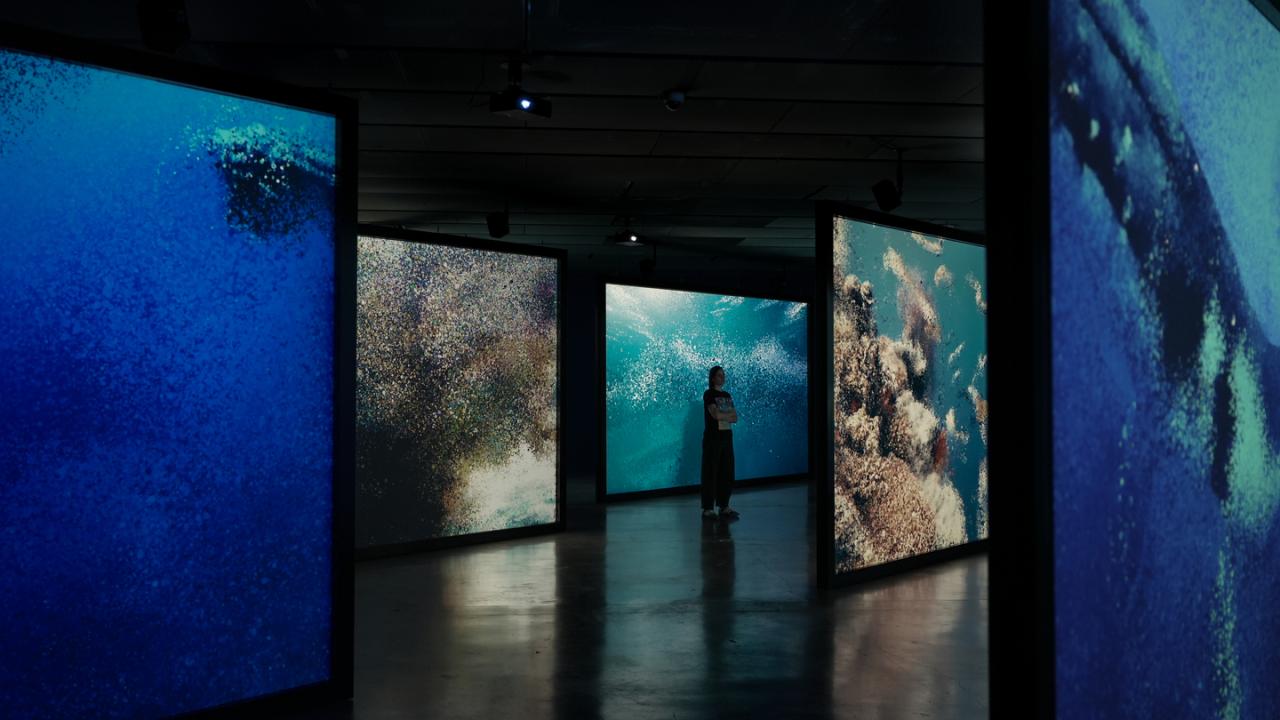 Ecos del Oceano