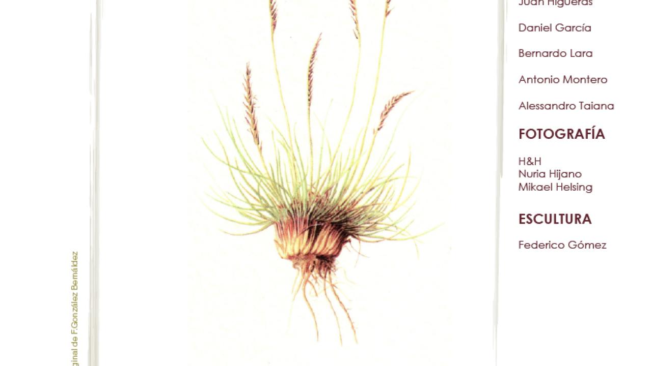 Exposición miscelánea "Yerba"