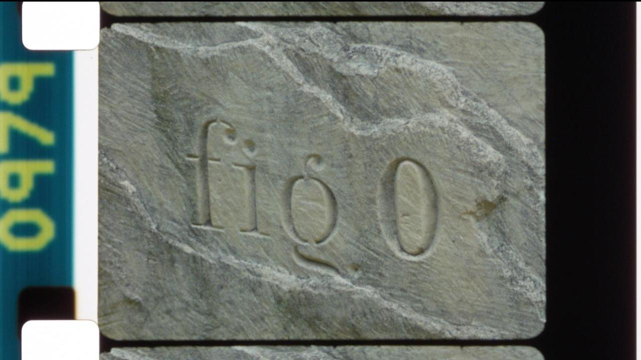 Circuitos de Artes Plásticas 2025