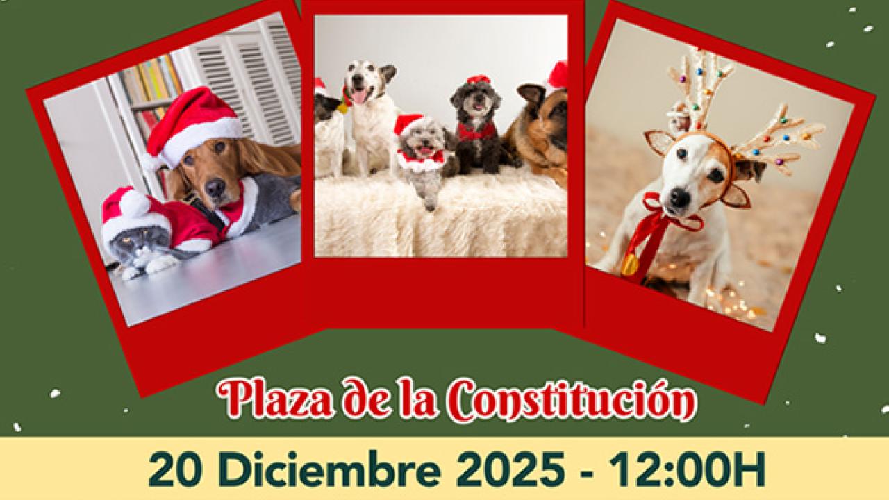 CHAPIPET Fashion Day II Edición