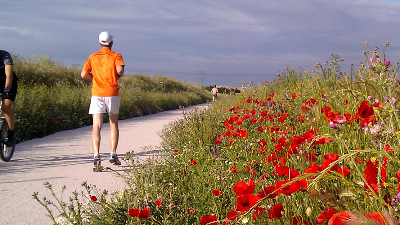 Imagen de gente haciendo deporte en la Vía Verde del Río Guadarrama