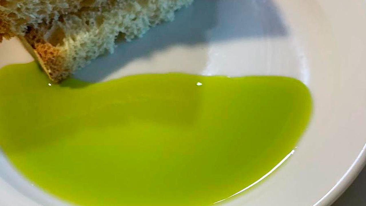 Aceite de oliva Virgen extra verde intenso con pan en un plato