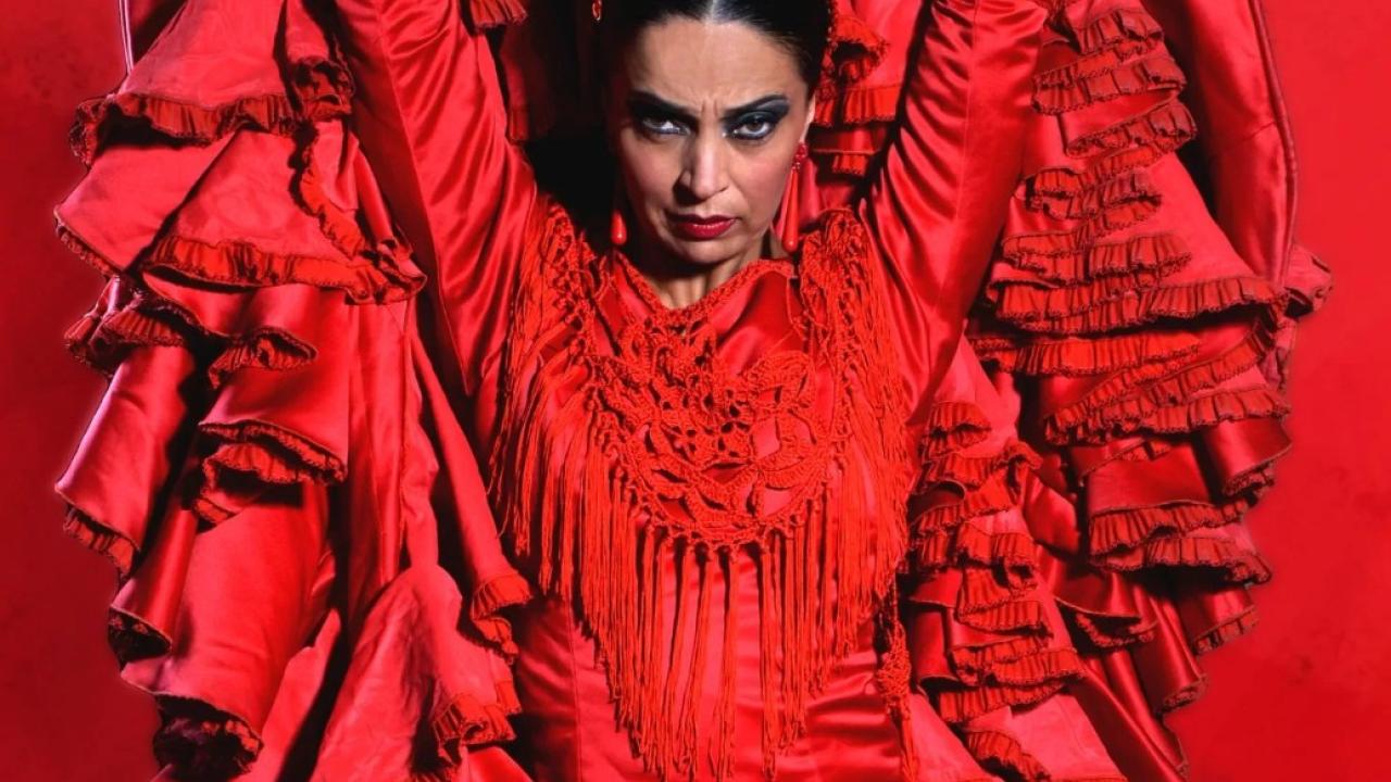 Imagen de bailaora flamenca en el Teatro Flamenco de Madrid