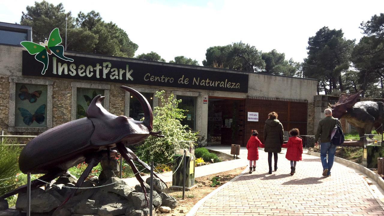 Insect Park