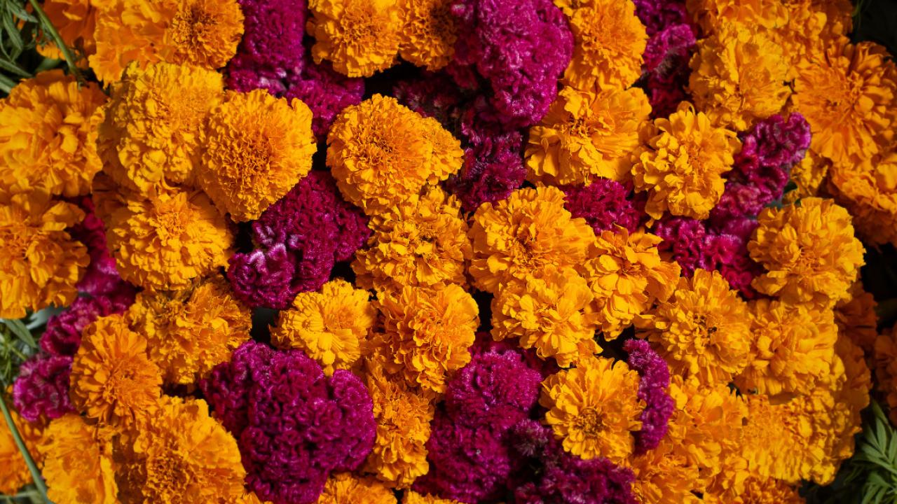 Día de Muertos