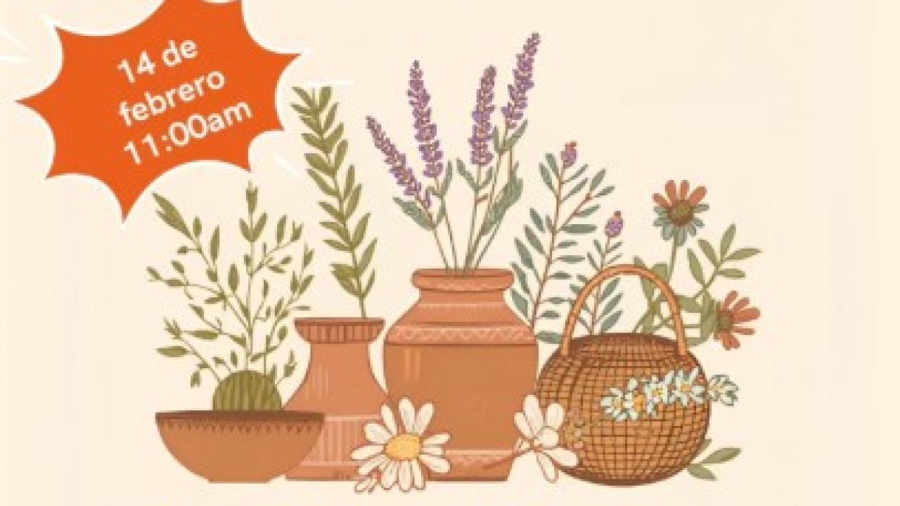  Etnobotánica casera en La Hiruela 