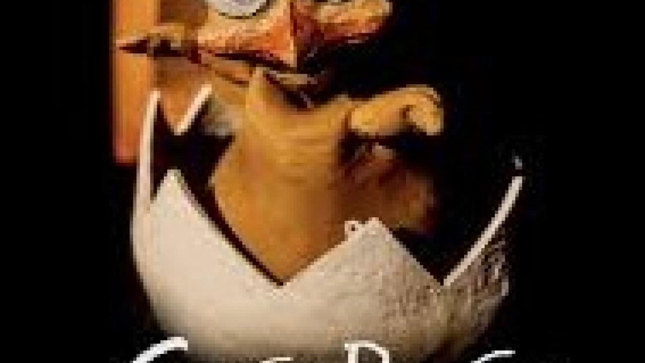 Teatro de títeres "Cocorico"