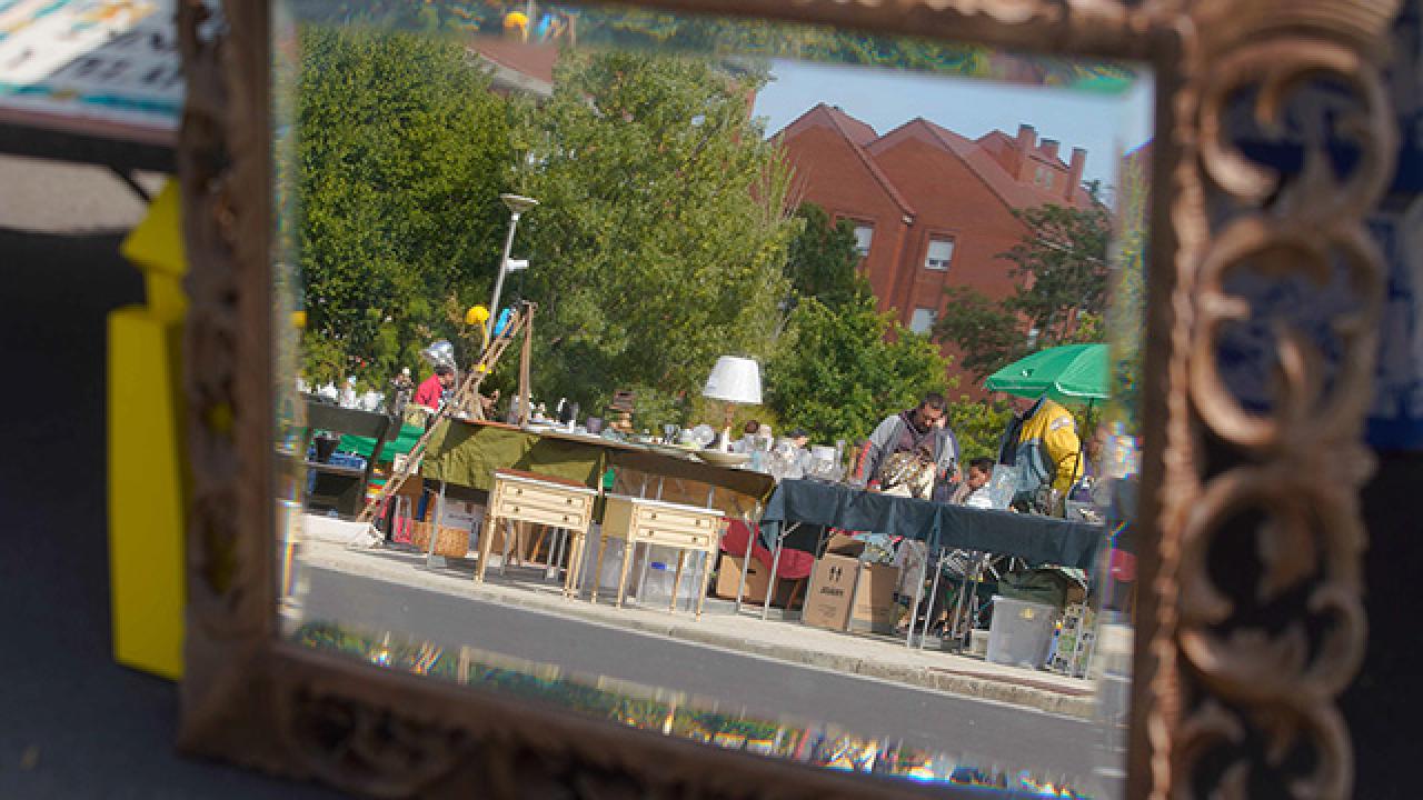 El Rastro de Las Rozas