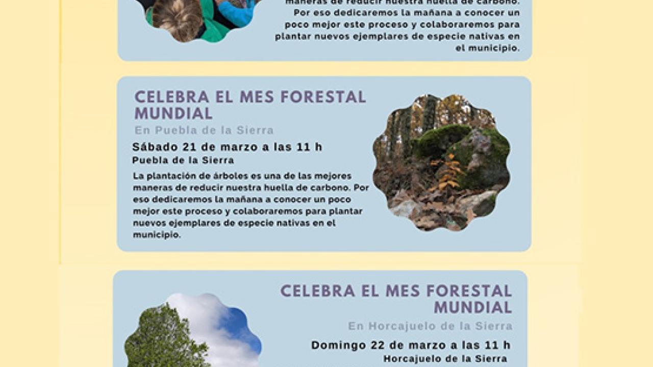 DONDE MANDA PATRÓN De patrones, injertos y parientes silvestres