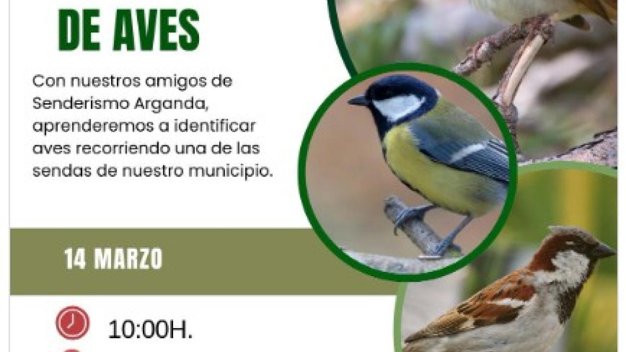 Taller ambiental de identificación de aves