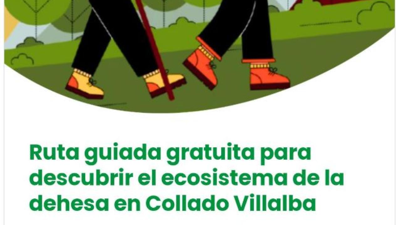  Ruta guiada gratuita "Descubriendo el ecosistema de la dehesa" 