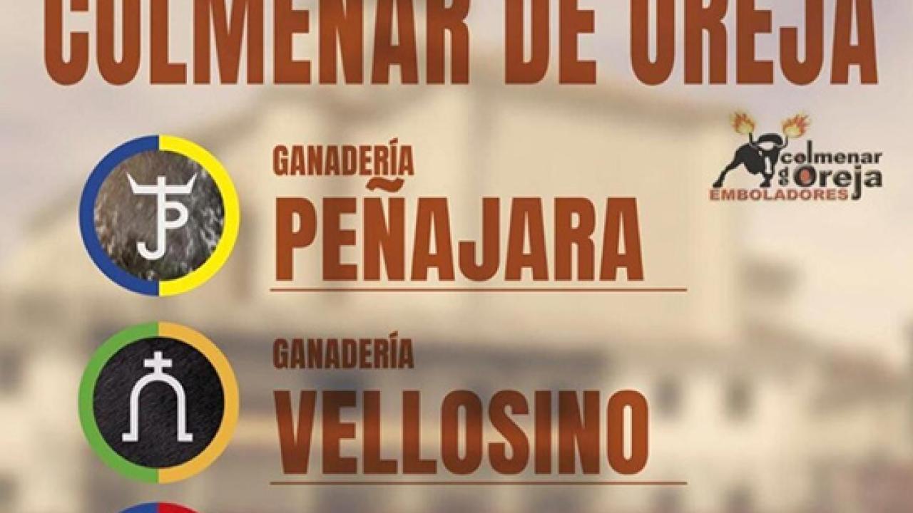 20º aniversario de los Emboladores de Colmenar de Oreja