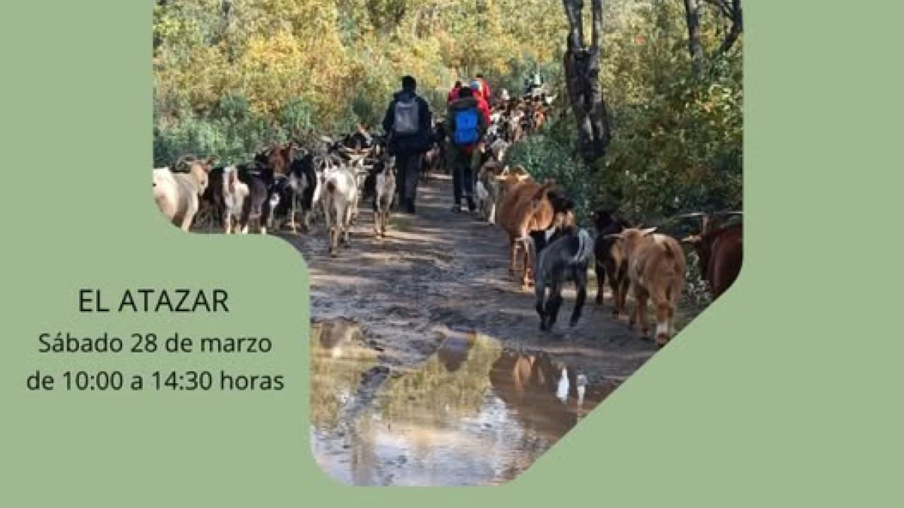 itinerario guiado: “tierra de agua y ganado” en el municipio de El Atazar.
