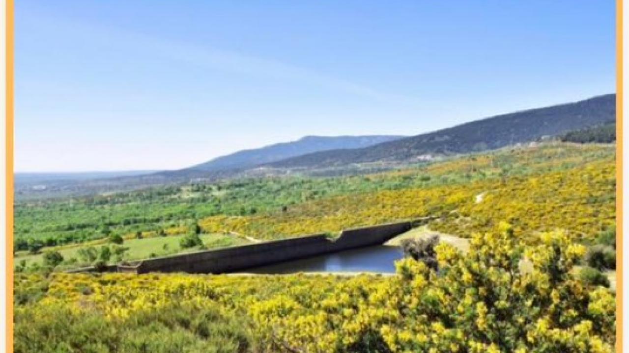 Festival del Cambroño