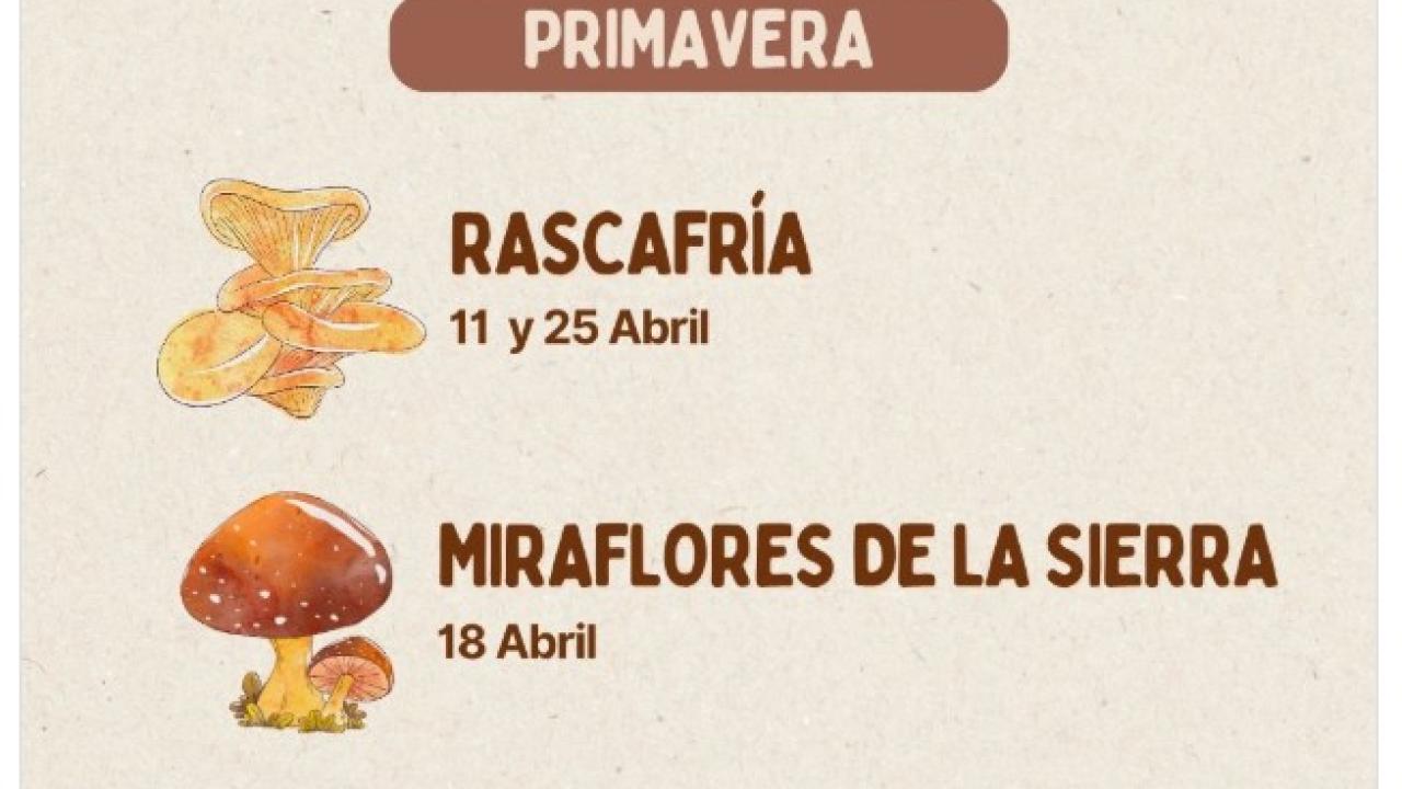 Jornadas Micológicas de Primavera