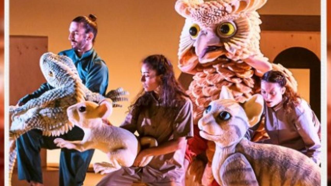 La gata que quería cambiar la historia