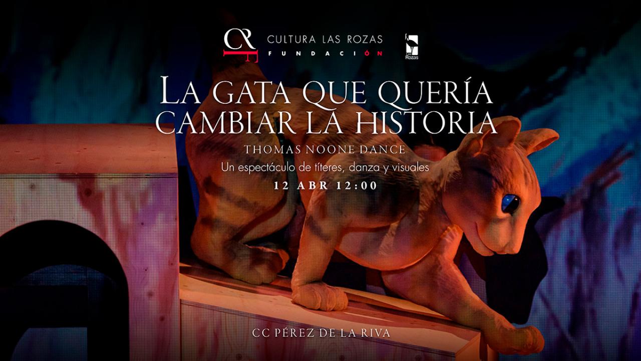 La gata que quería cambiar la historia