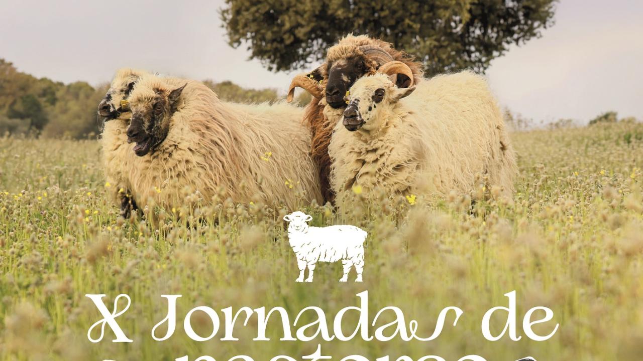 X Jornadas de Pastoreo y Feria de Quesos