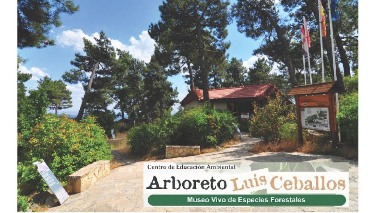 Ascensión guiada al Arboreto Luis Ceballos por la Asociación Abantos Activo