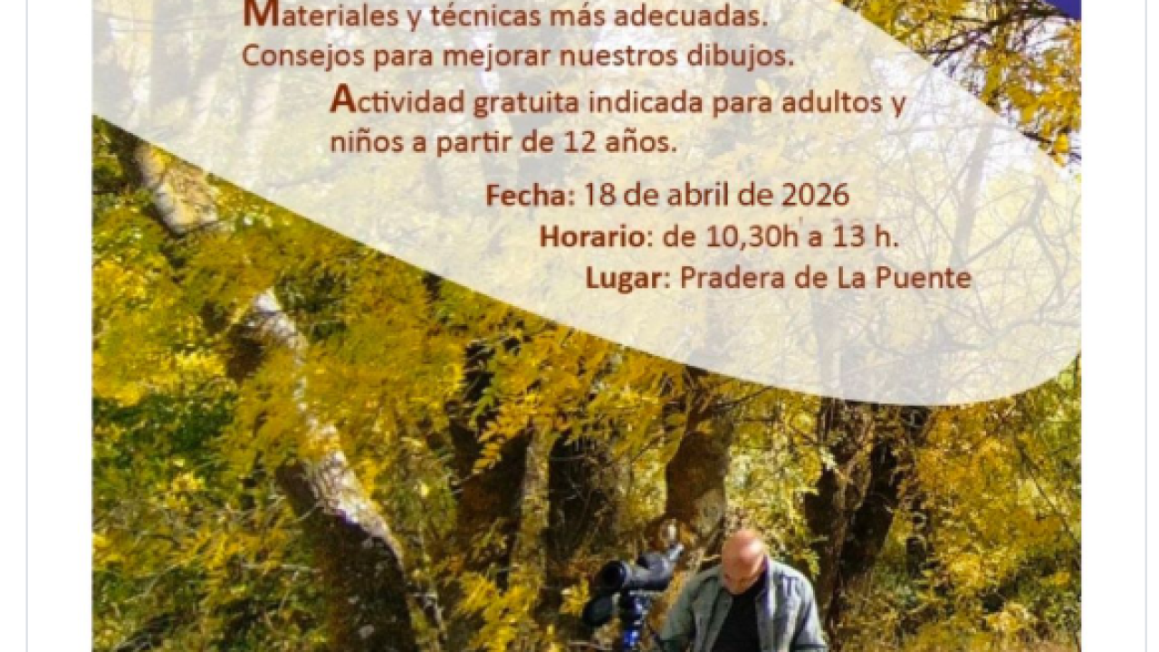 Taller de ilustración de naturaleza con Nacho Sevilla