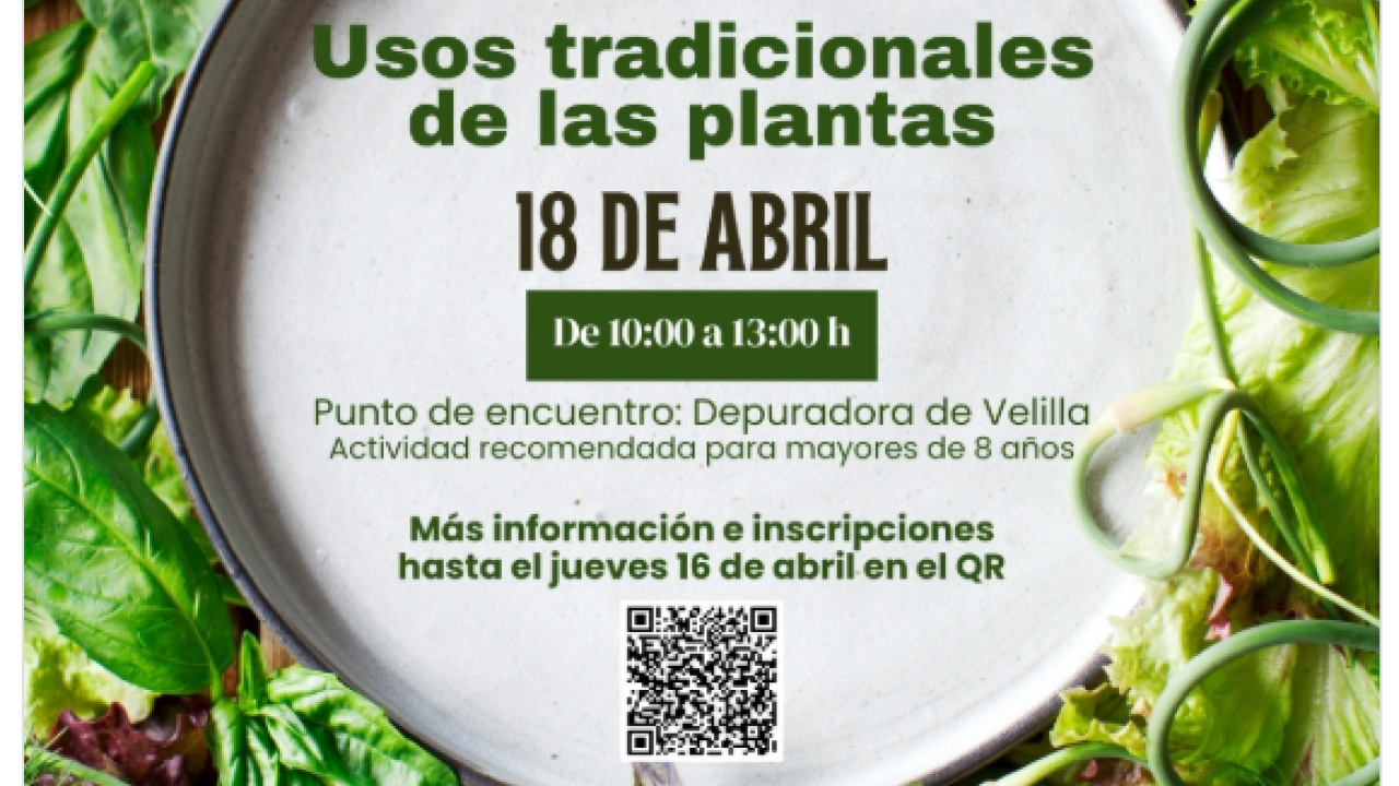 Ruta “Usos tradicionales de las plantas”.