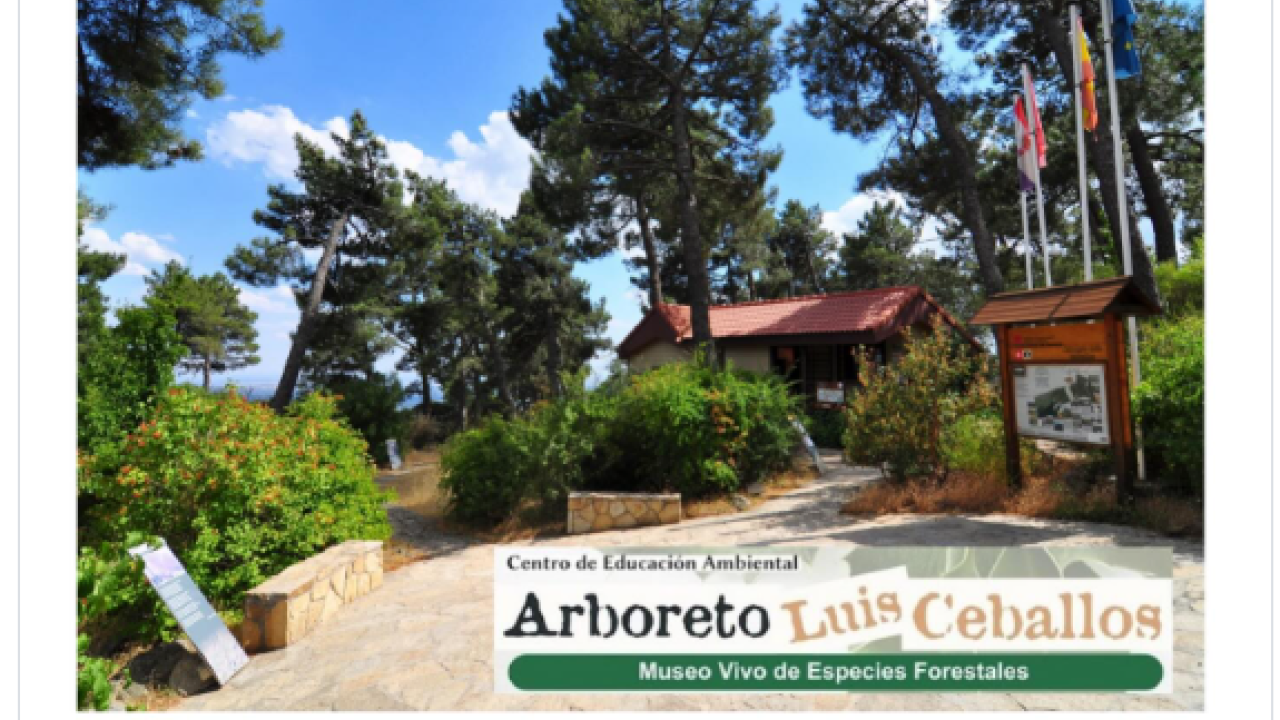 Ruta: Ascensión al Arboreto Luis Ceballos