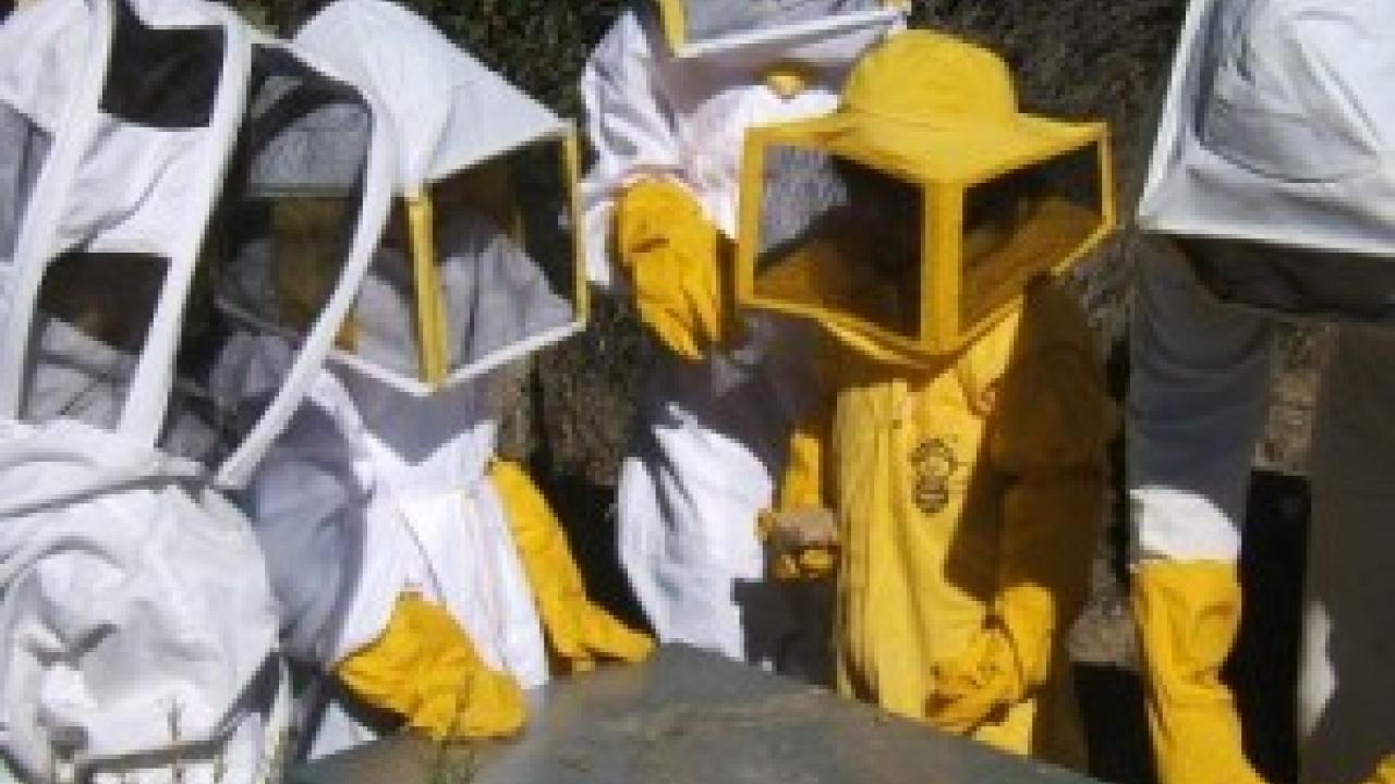 Talleres "La fábrica de miel"