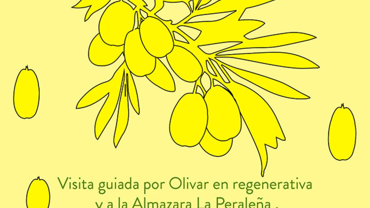 I Feria del Olivo I Almazara La Peraleña