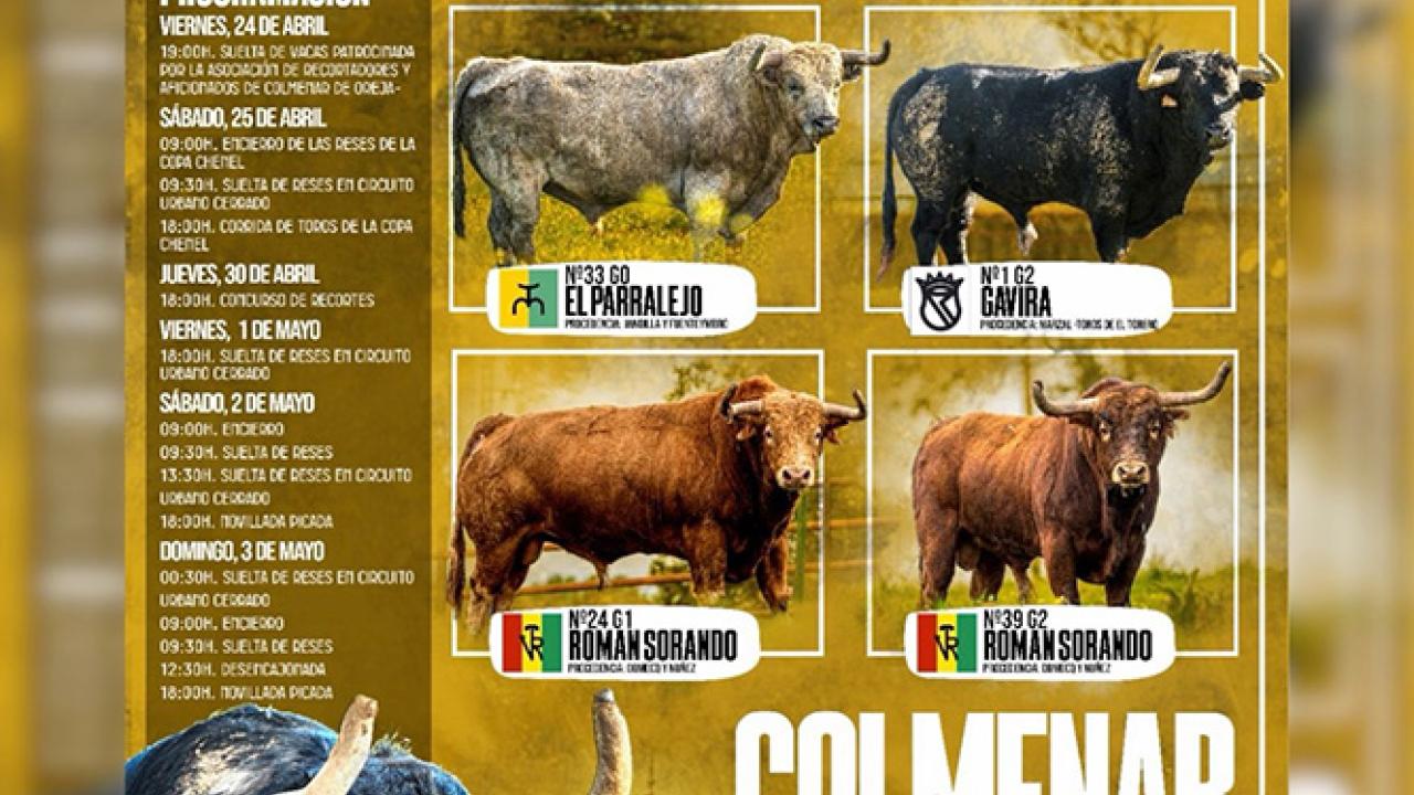 Programación taurina Colmenar de Oreja