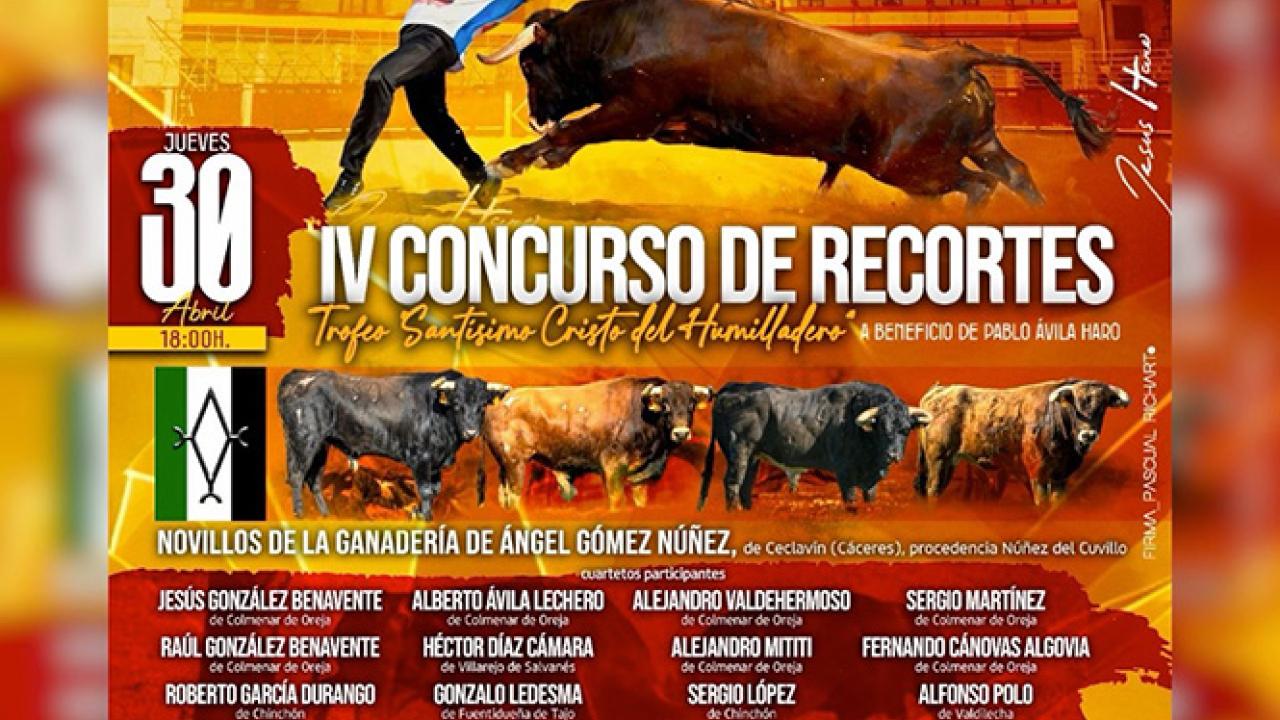 IV Concurso de Recortes «Trofeo Santísimo Cristo del Humilladero»