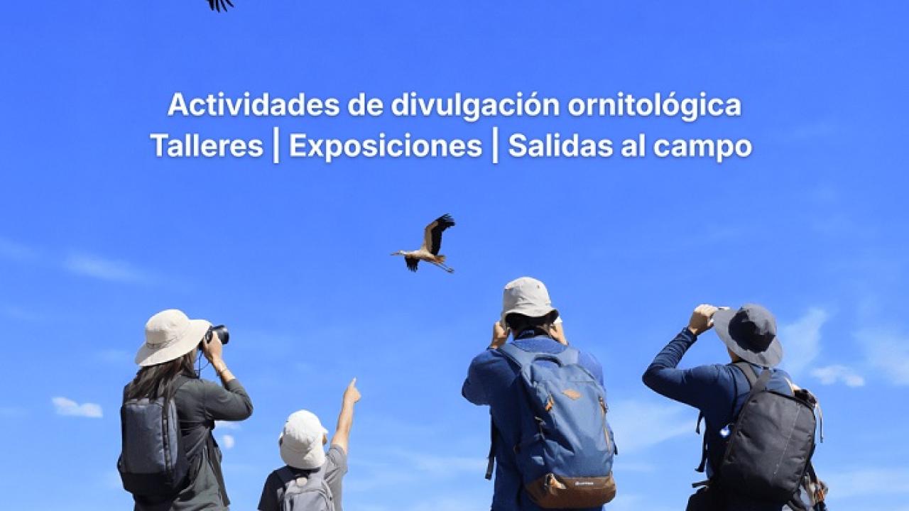 VI Festival Sotogüeña 2026