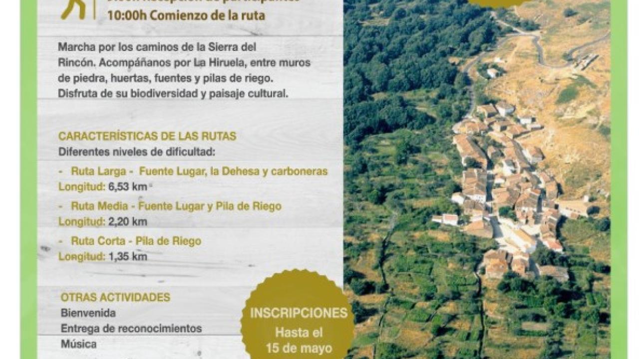 Rinconada 2026- La Hiruela