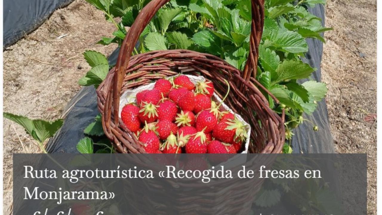 Rutas agroturísticas 2026: Viveros Monjarama