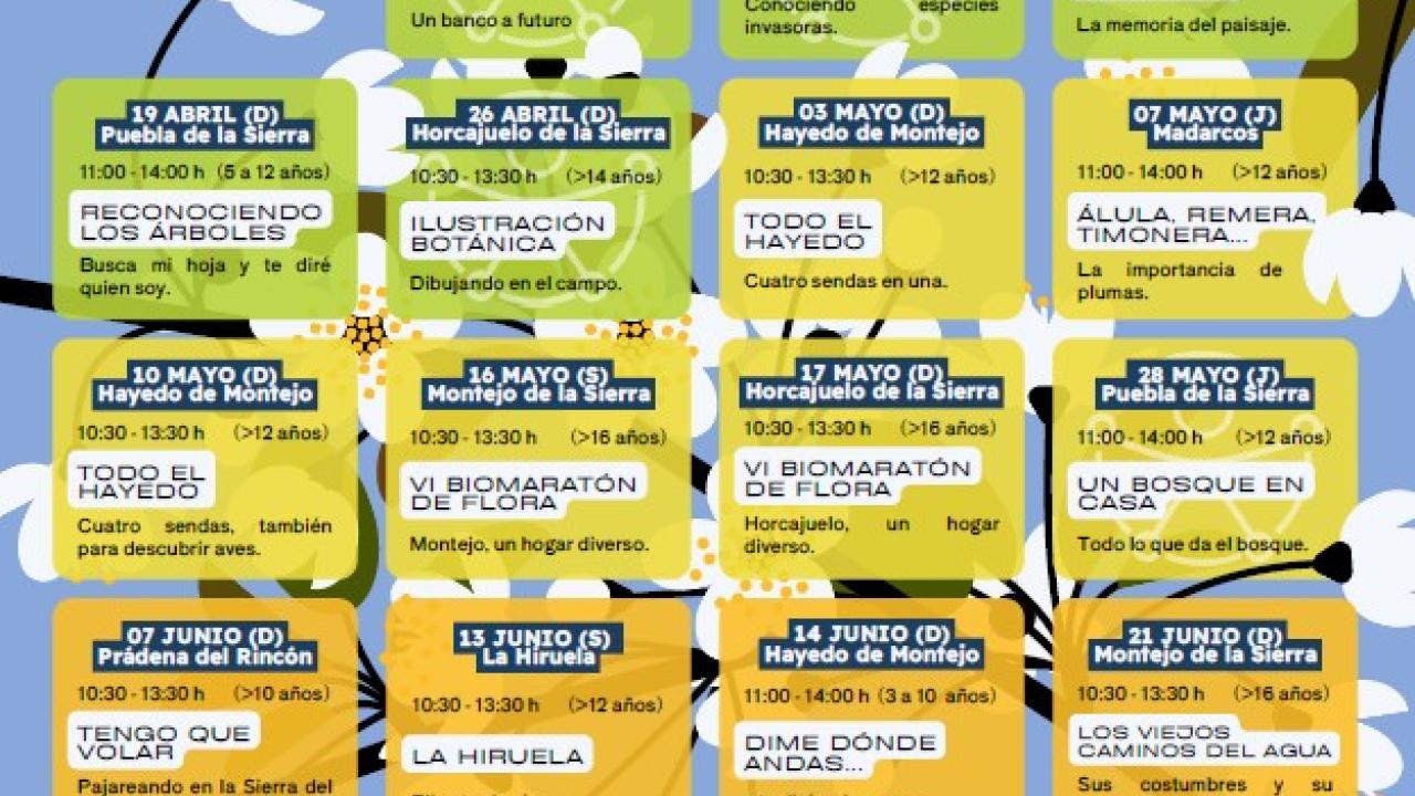 Temáticas de Primavera