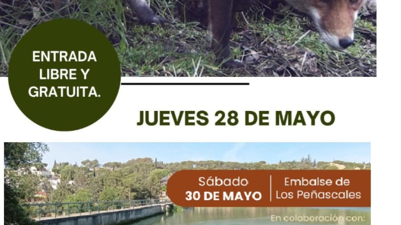 Conoce la “Fauna en Torrelodones” de la mano de Aula Zíes