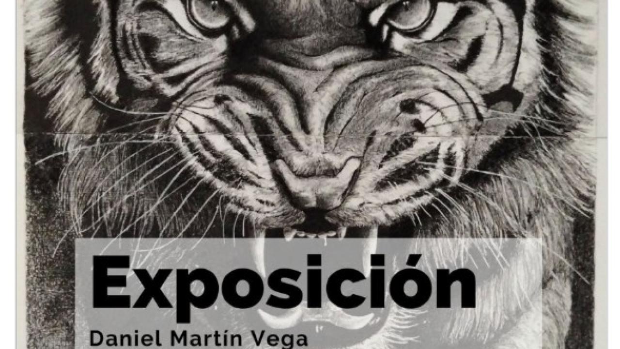 Exposición, Daniel Martín Vega