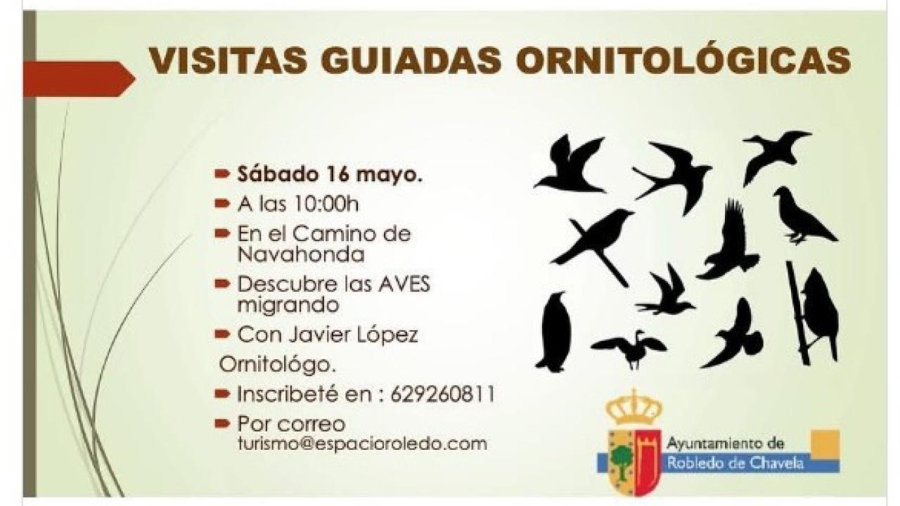 Visitas guiadas ornitológicas