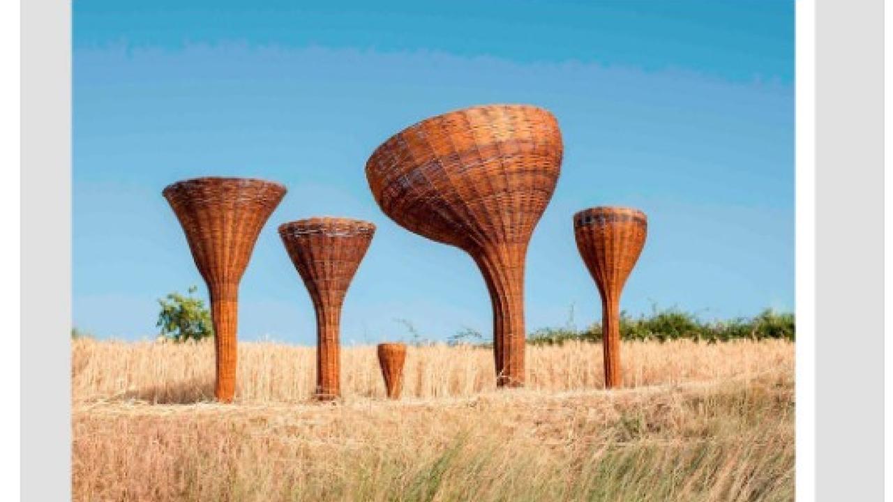 Taller de arte en familia: Lucia Loren, Arte ambiental