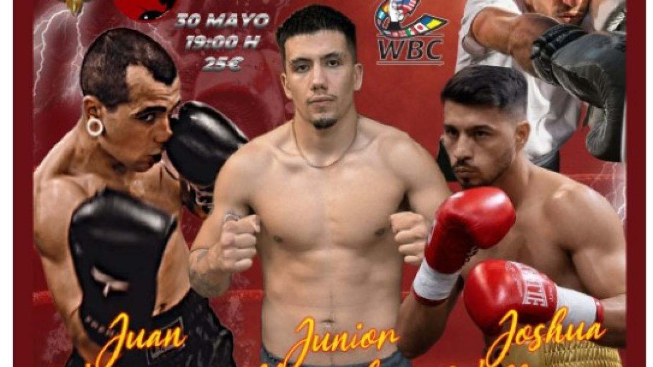 Velada de boxeo homenaje a Luis Segura.