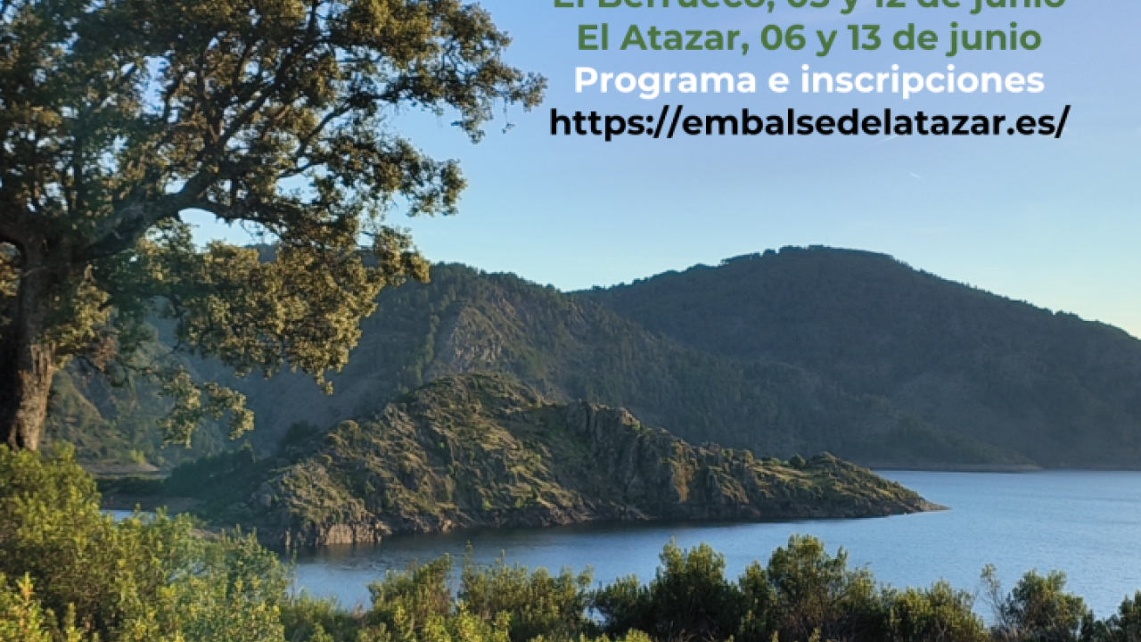Jornadas árboles y arboledas singulares