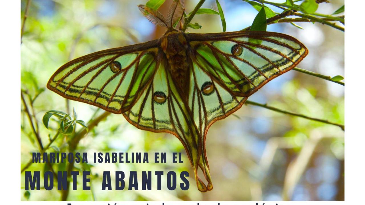 Excursión guiada al Monte Abantos y conferencia zoológica