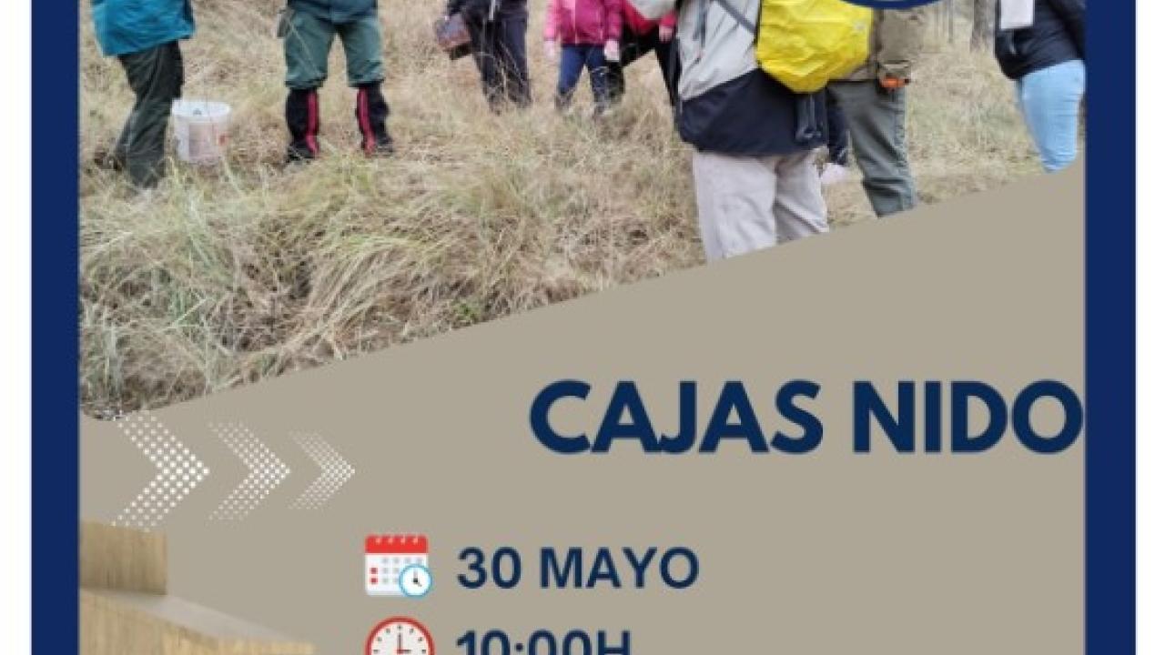 Taller ambiental: revisión de cajas nido