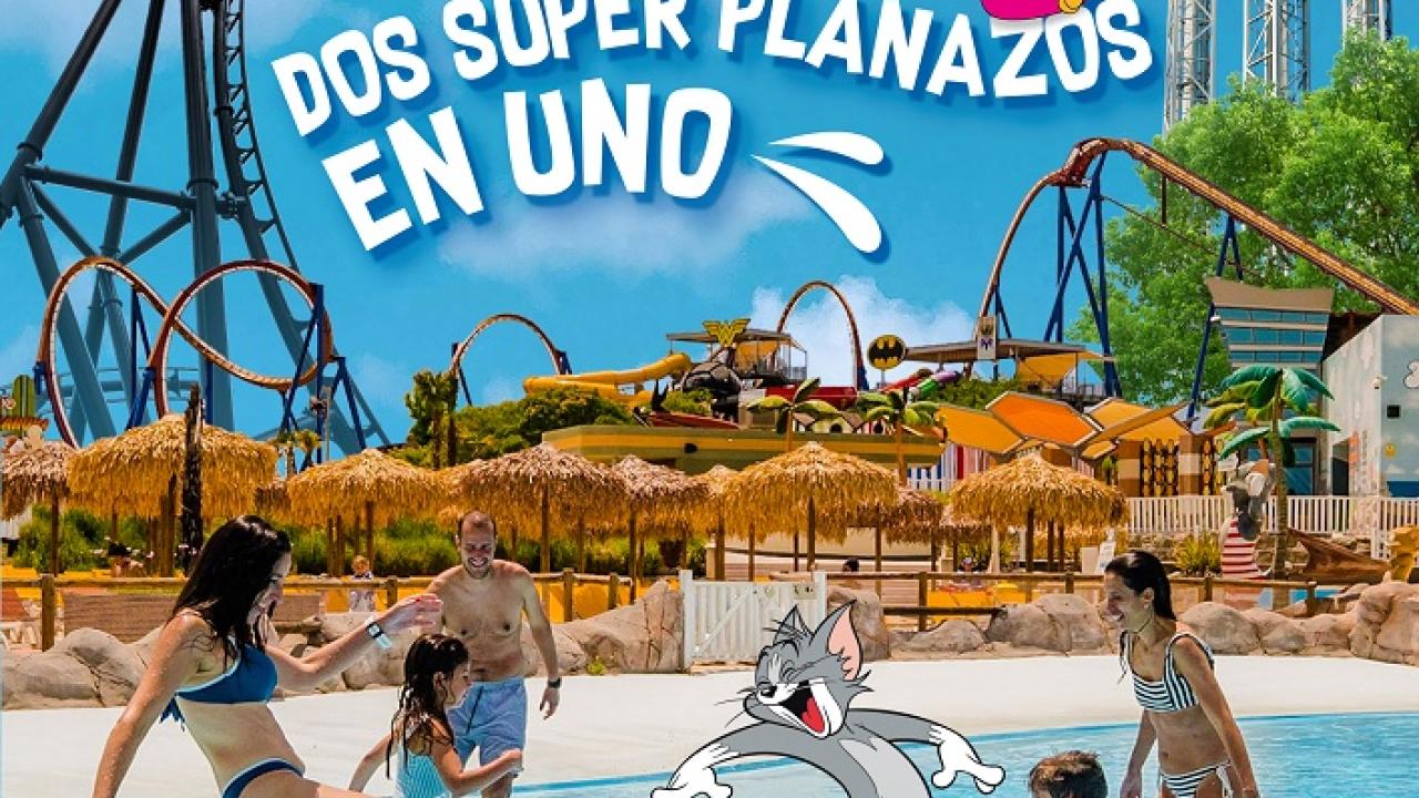 Vuelve Warner Beach