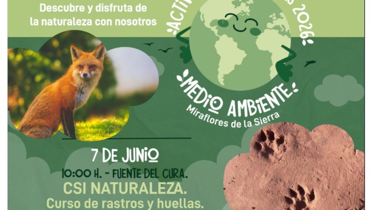 Actividades familiares: Medio ambiente