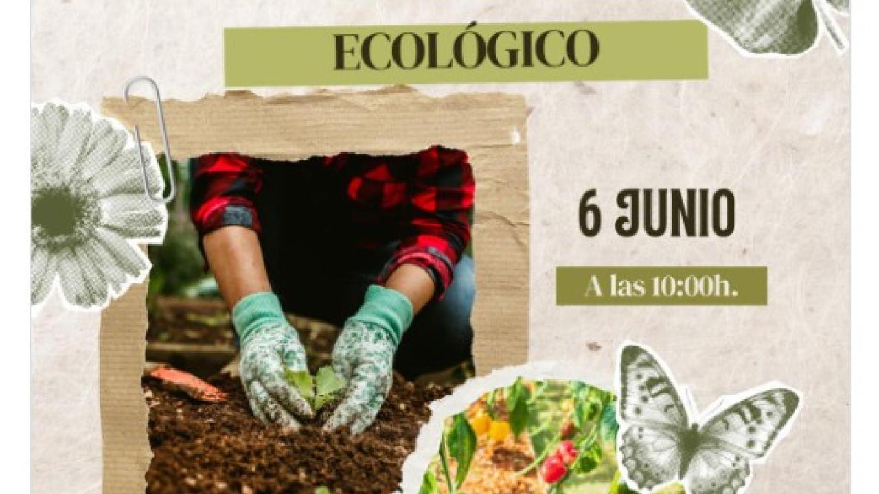 Taller ambiental: huerto ecológico