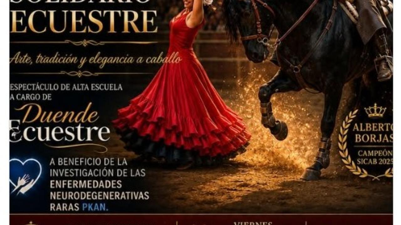 OléMoral2026: Gran Espectáculo Ecuestre