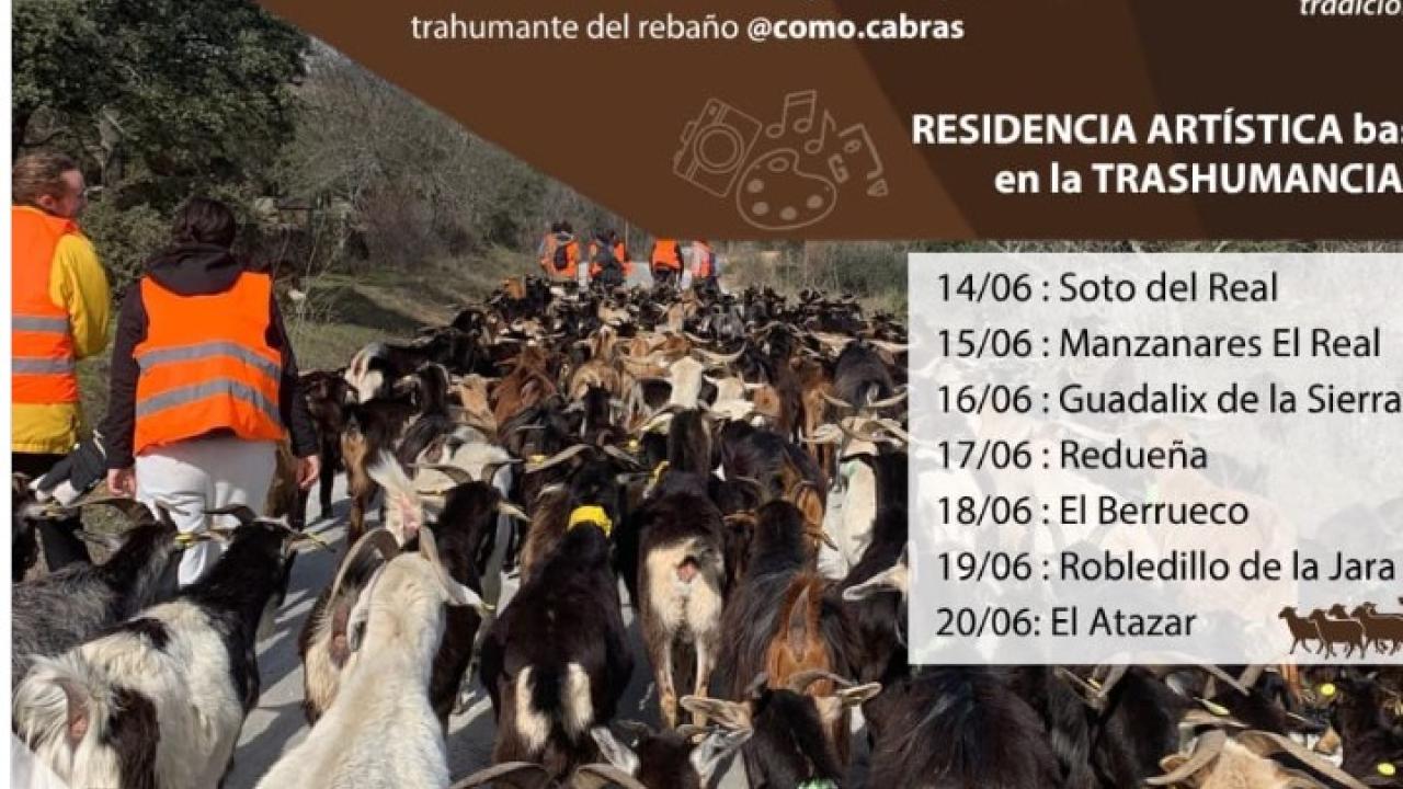 TRASHUMARTE vuelve a la Sierra de Guadarrama