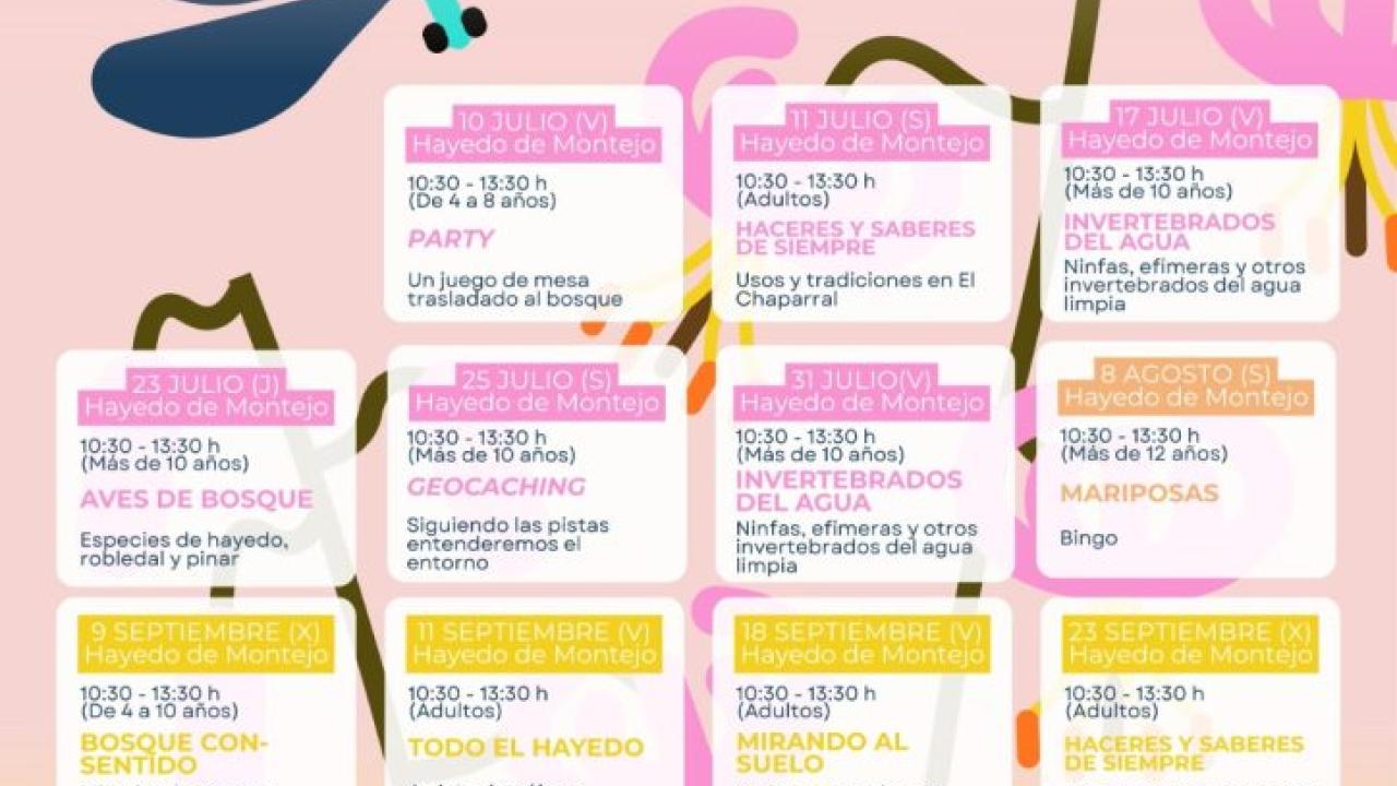 Programación de verano del CEA Hayedo de Montejo