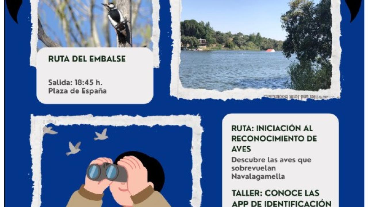 Descubre las aves de Navalagamella